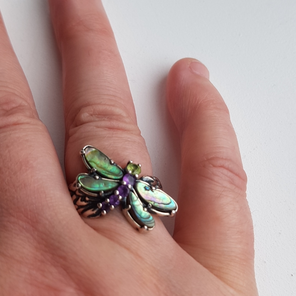 Ring dragonfly by carolyn pollack